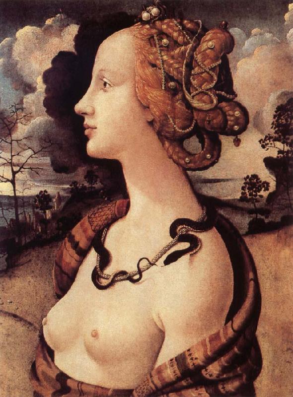 Piero di Cosimo Portrat of Simonetta Vespucci oil painting image